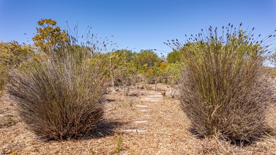 Commercial Property for Sale in Wilderness Rural Western Cape